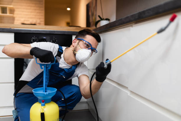 Best Pest Prevention Services  in Utica, NE