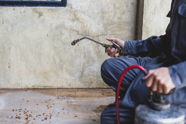 Best Exterminator Services  in Utica, NE